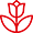 <span class='p-name'>Alto valor decorativo</span>